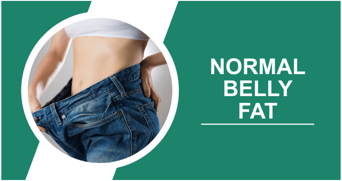 Normal Belly Fat