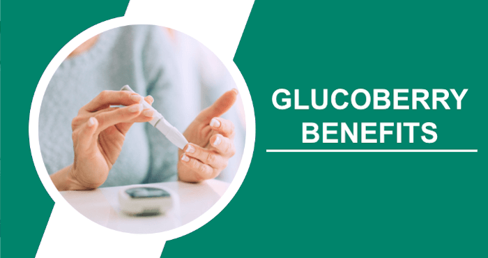 GlucoBerry Benefits