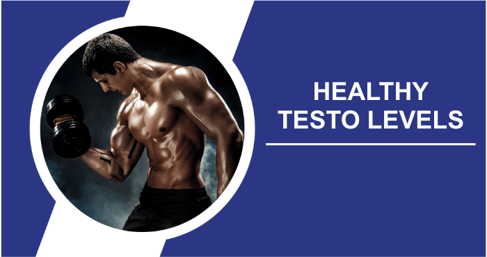 Healthy testo levels increase testo